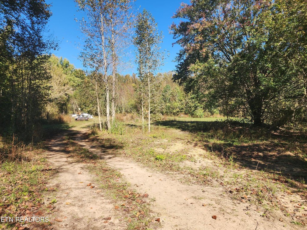 Picture 21