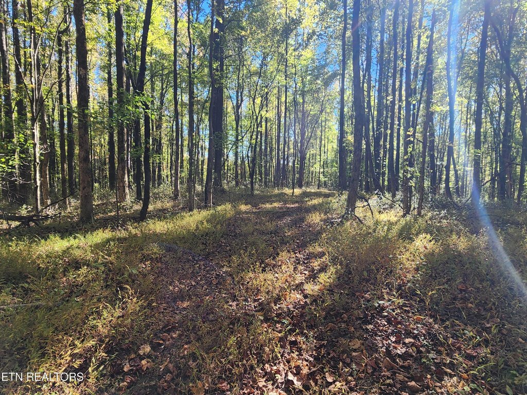 Picture 41