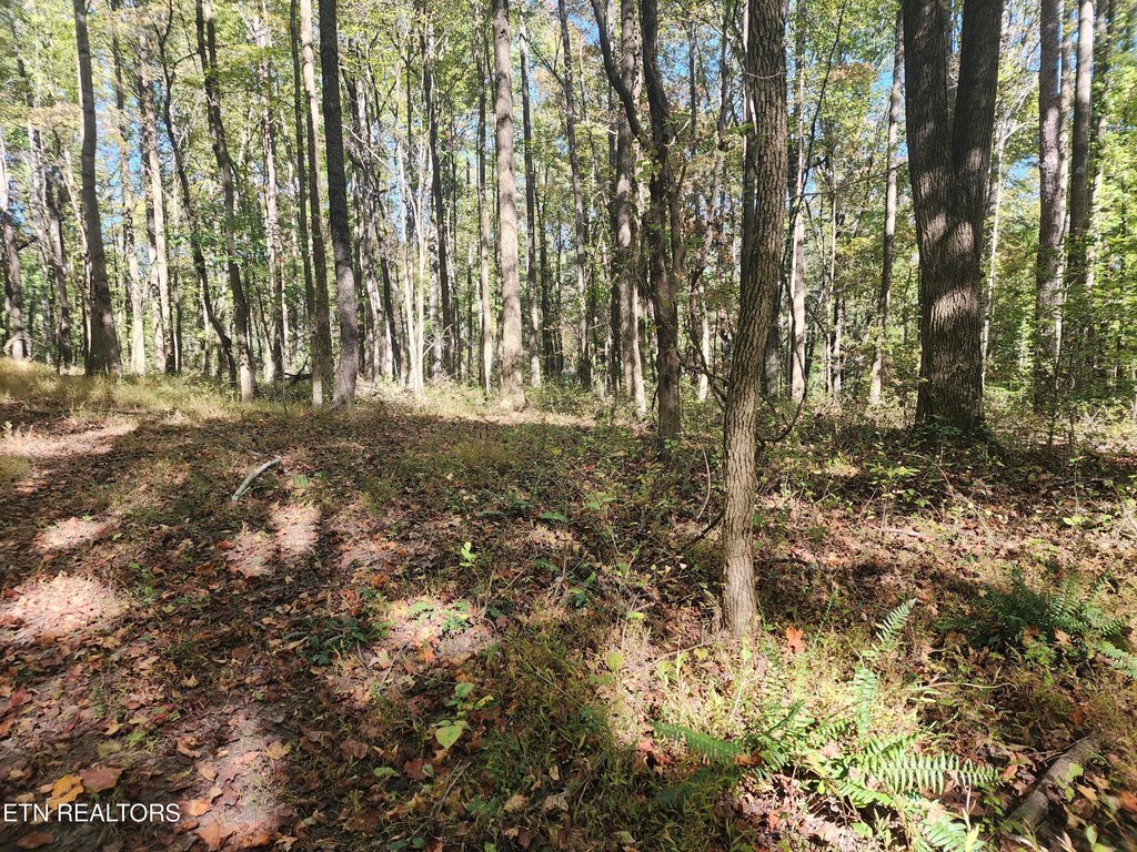 Picture 34