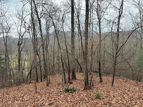 Hayesville NC Building Lot
