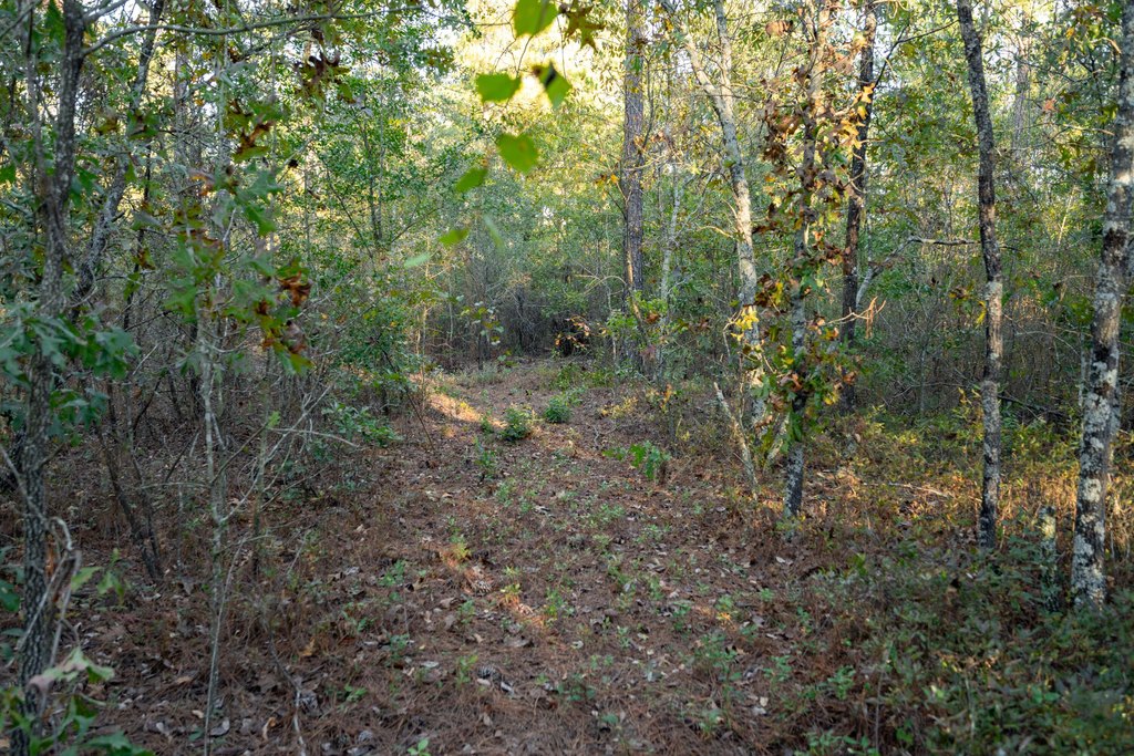 Picture 15
