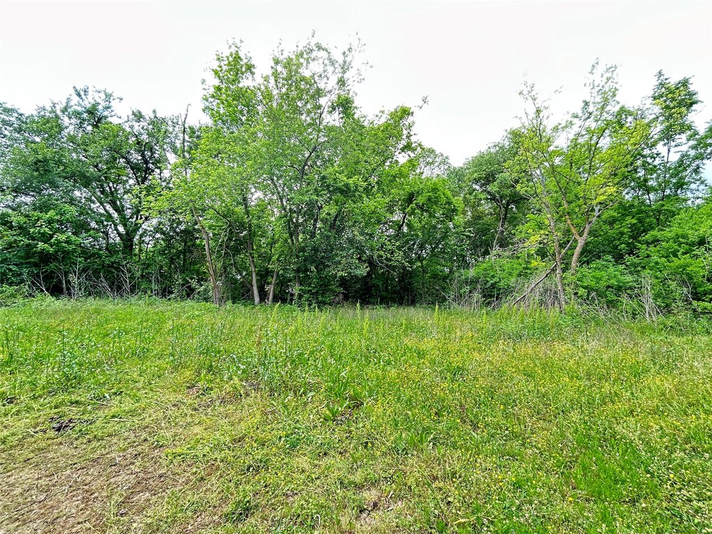 Picture 11