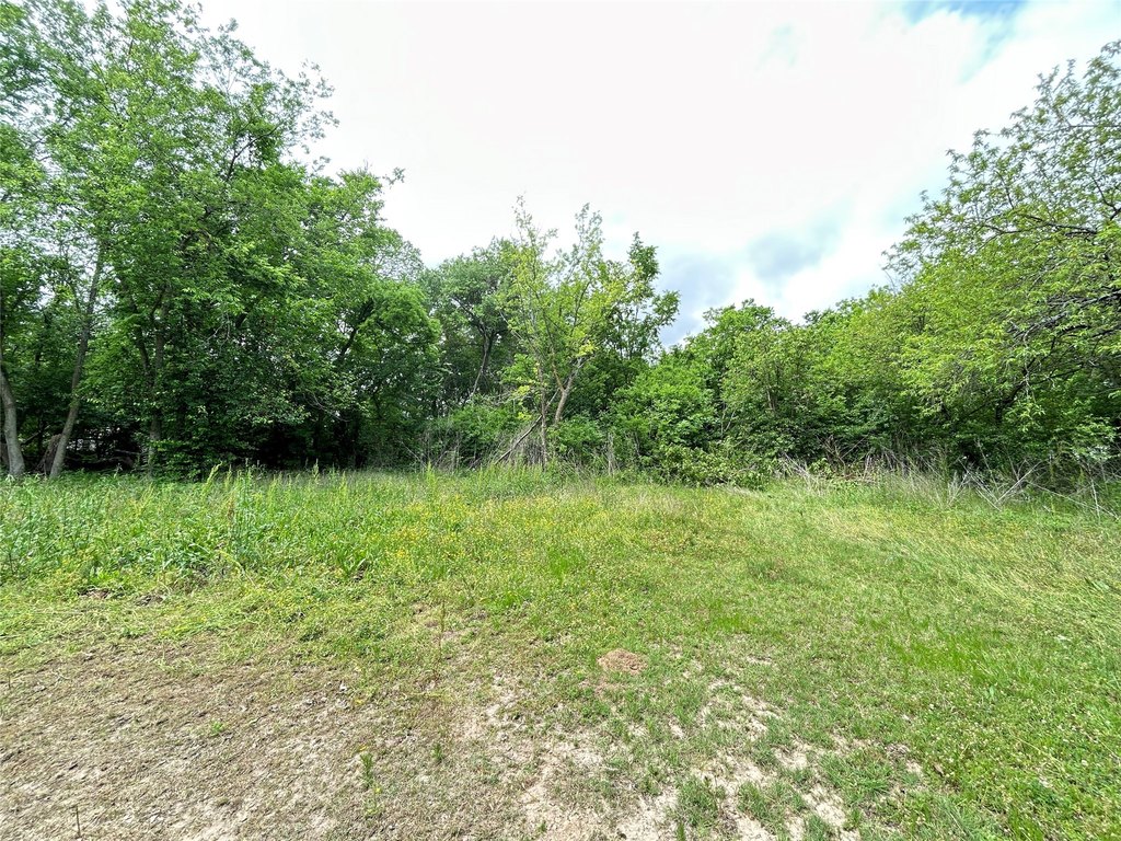Picture 10