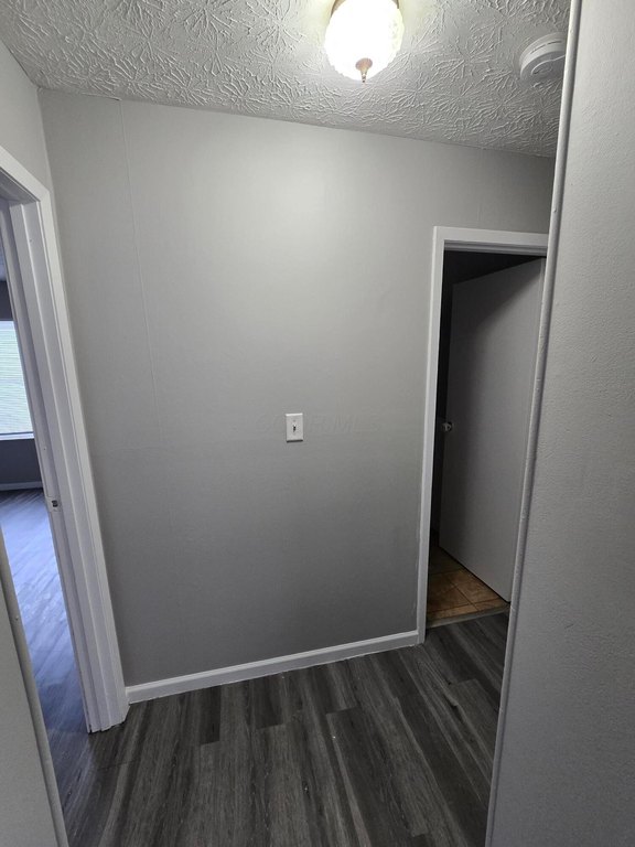 Picture 46