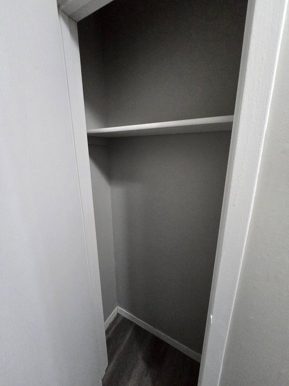 Picture 52