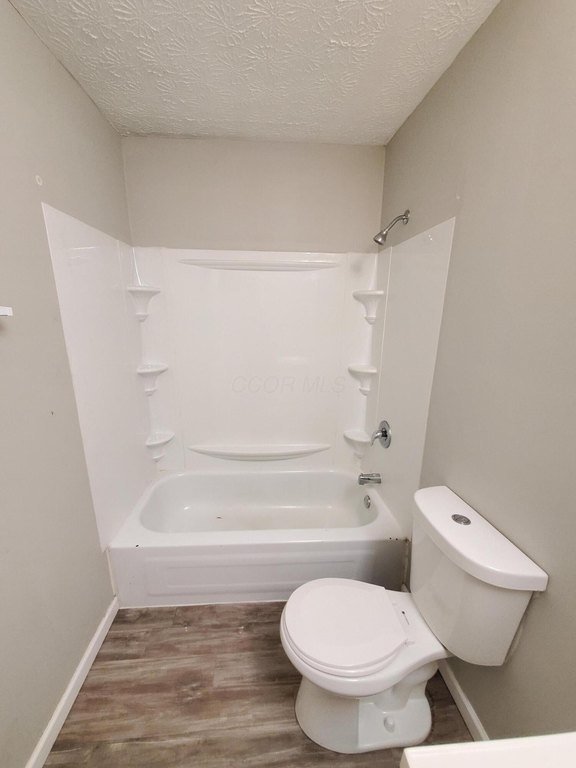 Picture 21
