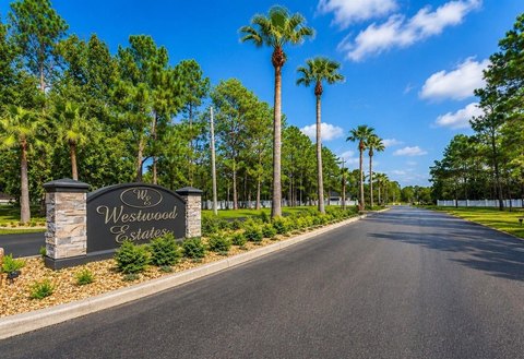 Land, WESLEY CHAPEL, FL