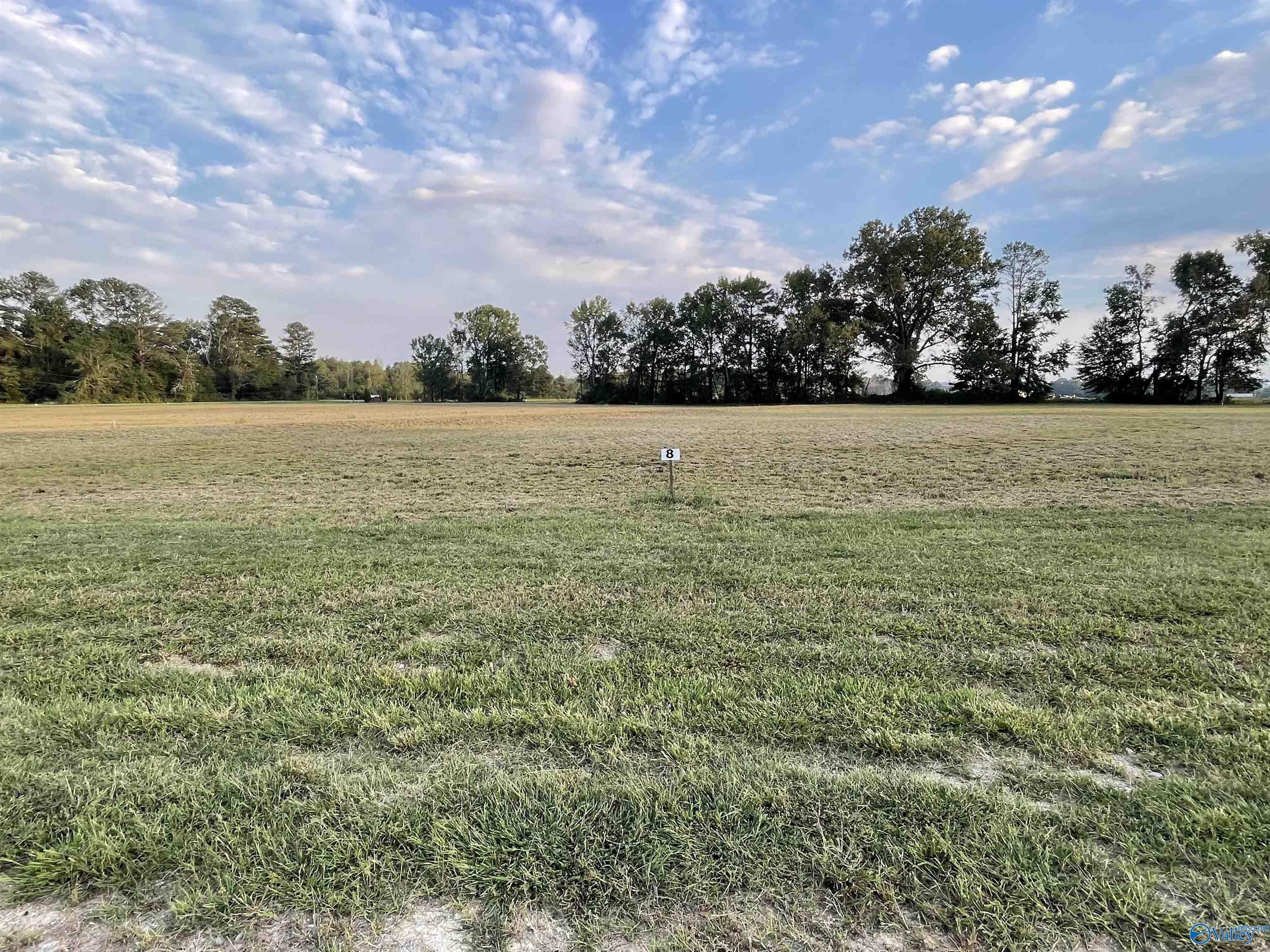 Waterfront Lot in Southside, AL