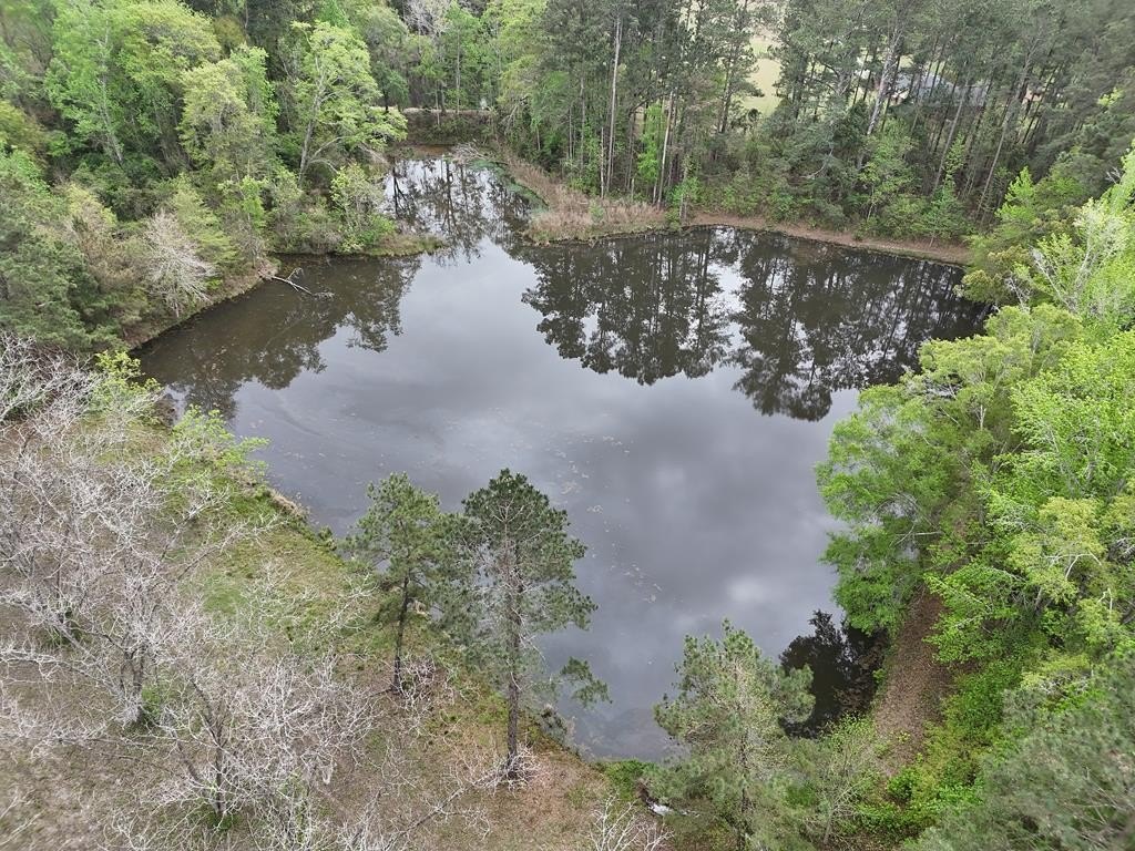 Land with Pond and Trees