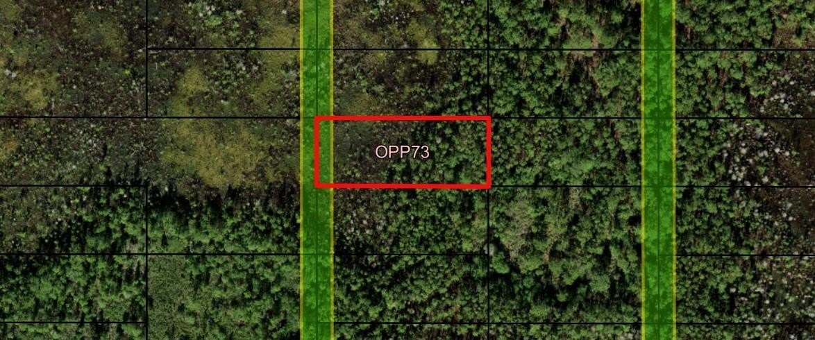 Polk City Acreage for Recreation