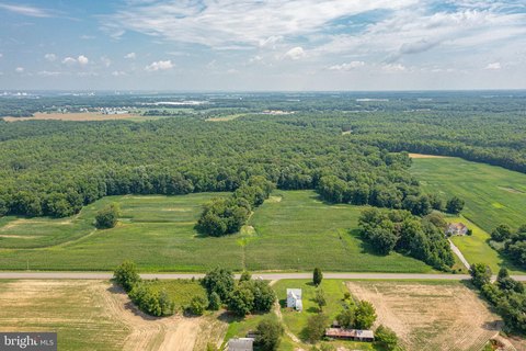 85+ Acre Farm with Road Frontage