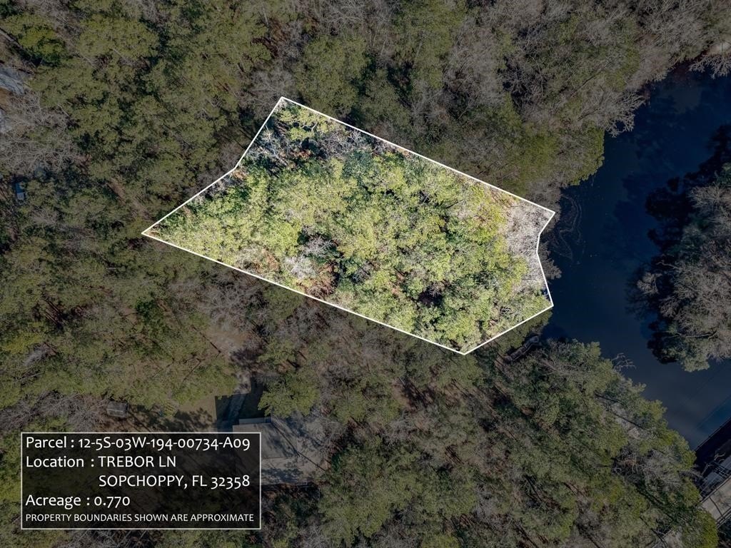Sopchoppy River Wooded Lot