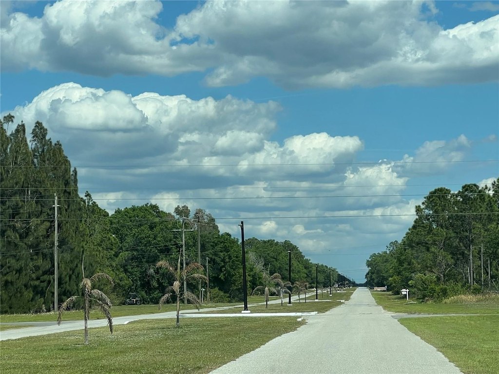 Picture 21