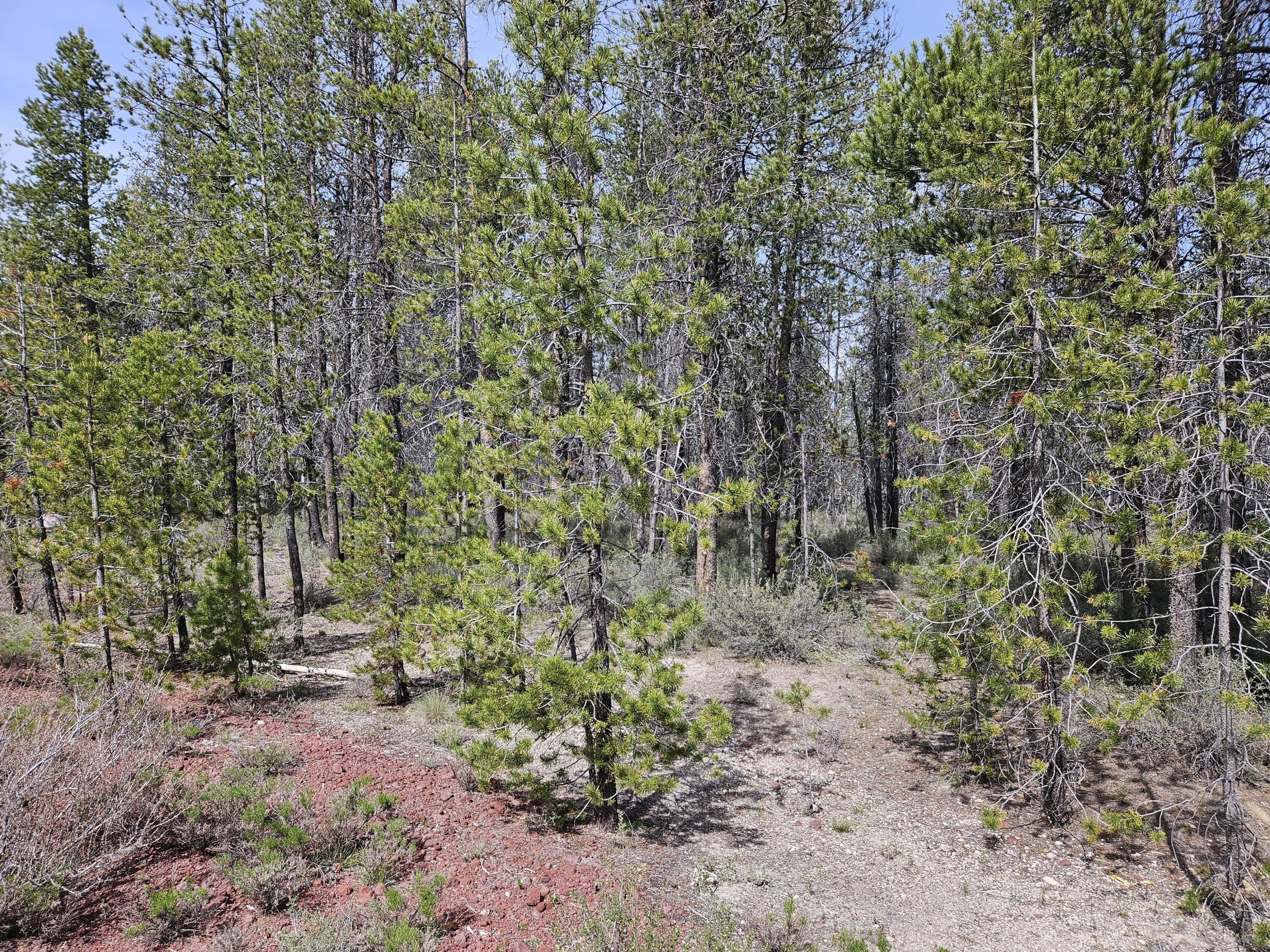 Land in Mountain Setting