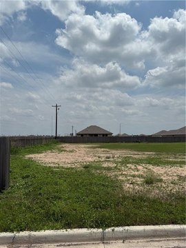 LAND - Weslaco, TX