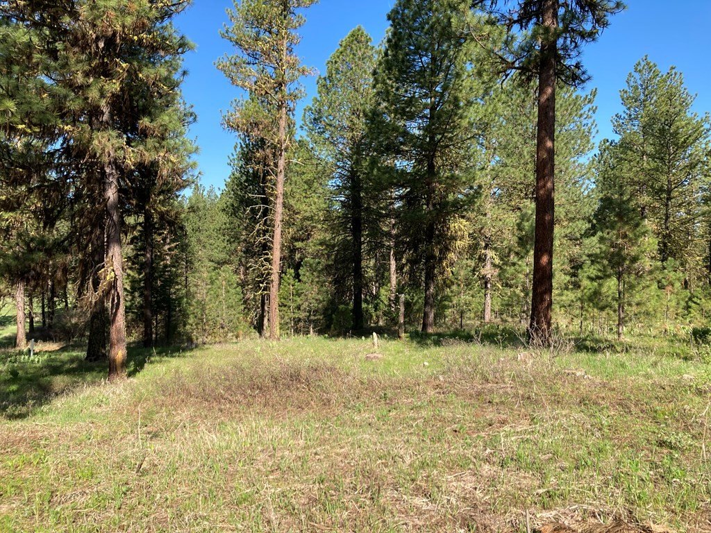 Picture 24
