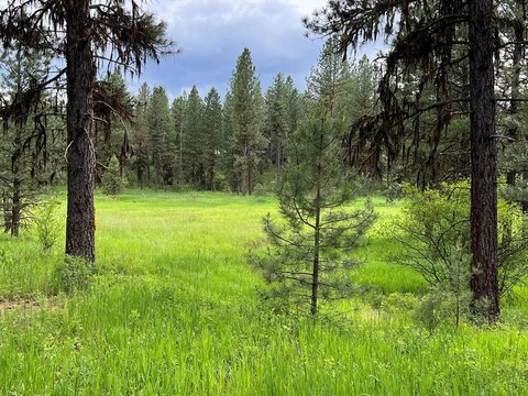 Land, New Meadows, ID