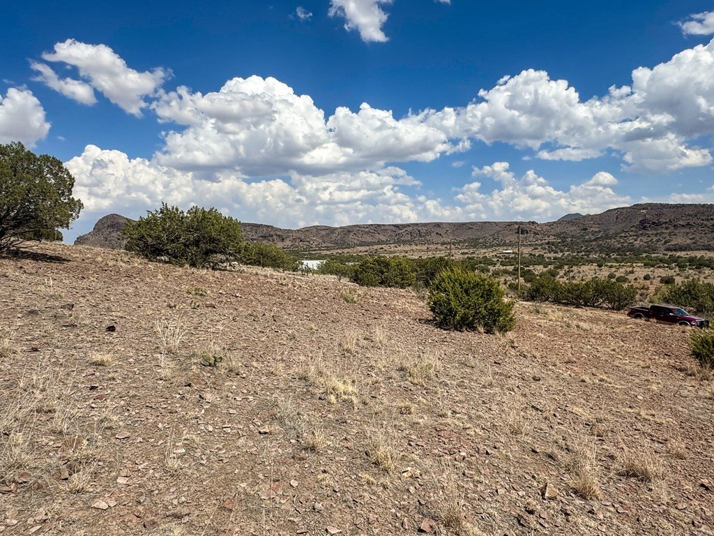 Picture 10