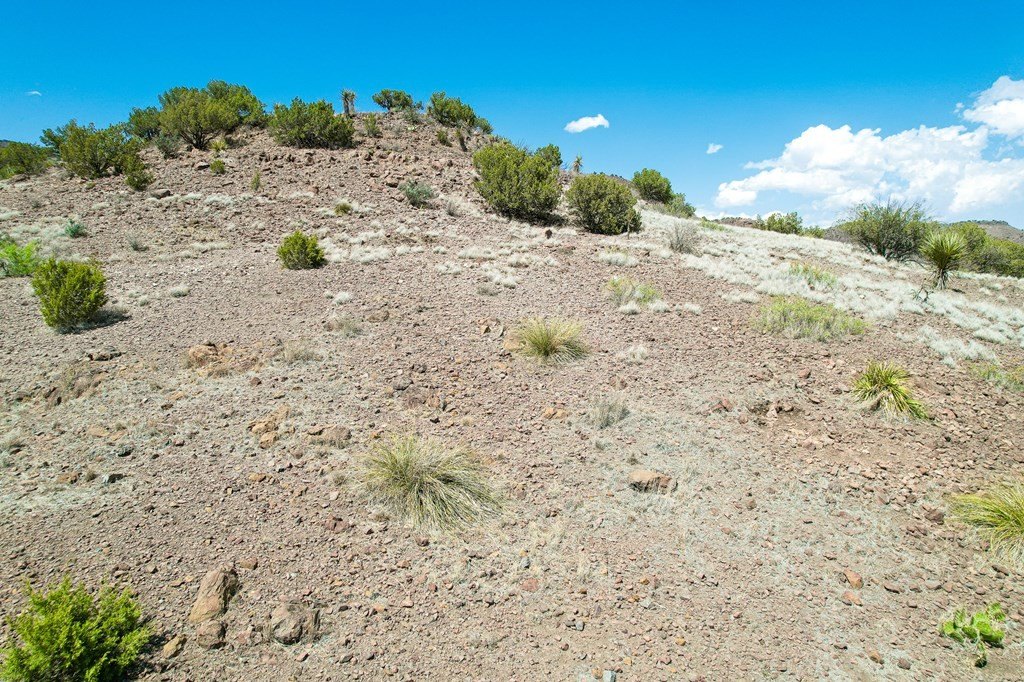 Picture 18