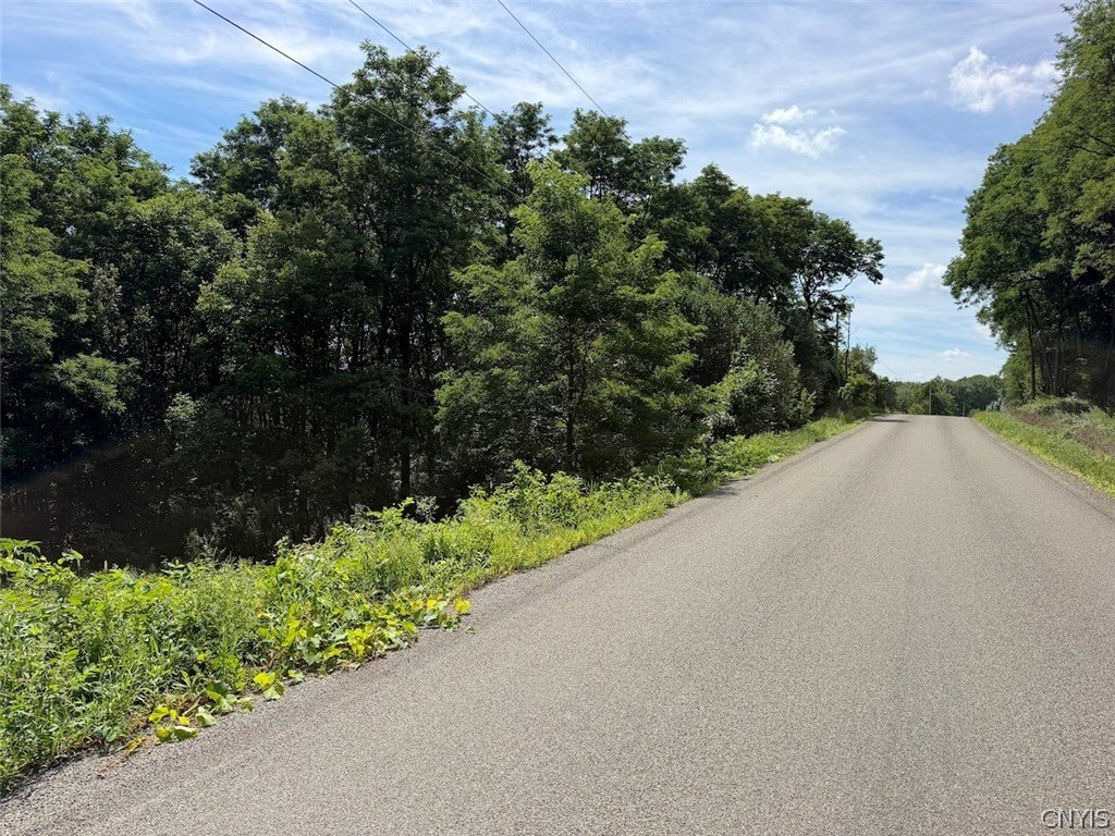 Picture 21