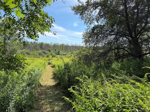 Land, South Dayton, NY