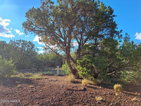Land, Williams, AZ