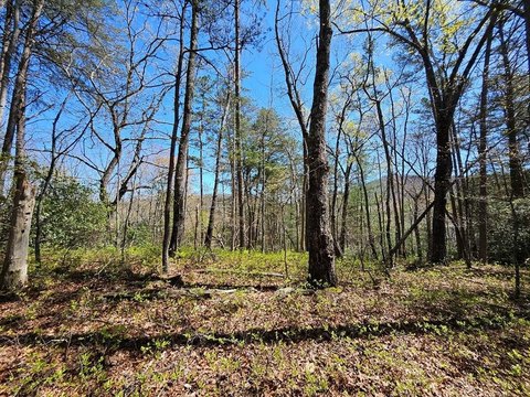 Blue Ridge Vacant Lot