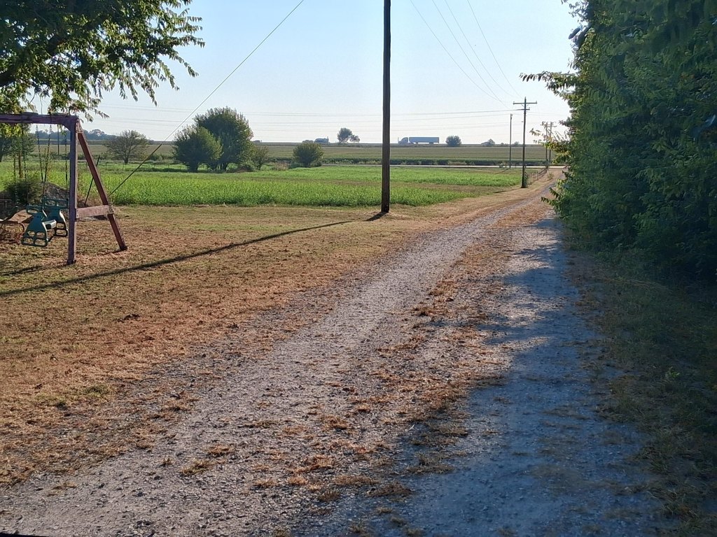 Picture 6