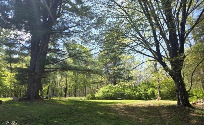 Picture 23