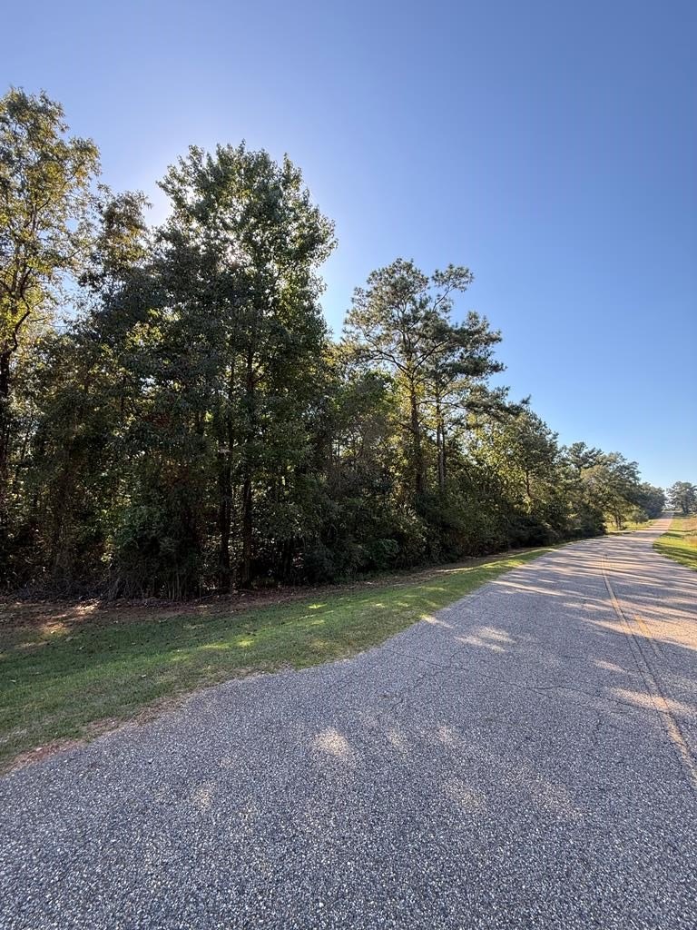 33 Acres of Wooded Land