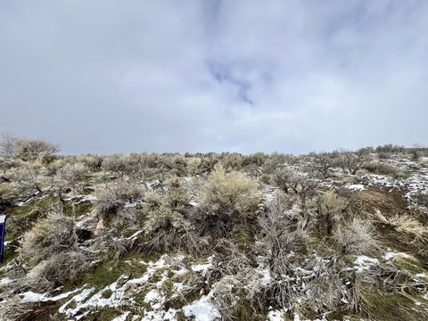 Land in Spring Creek, Nevada
