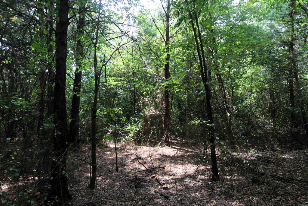 Picture 33