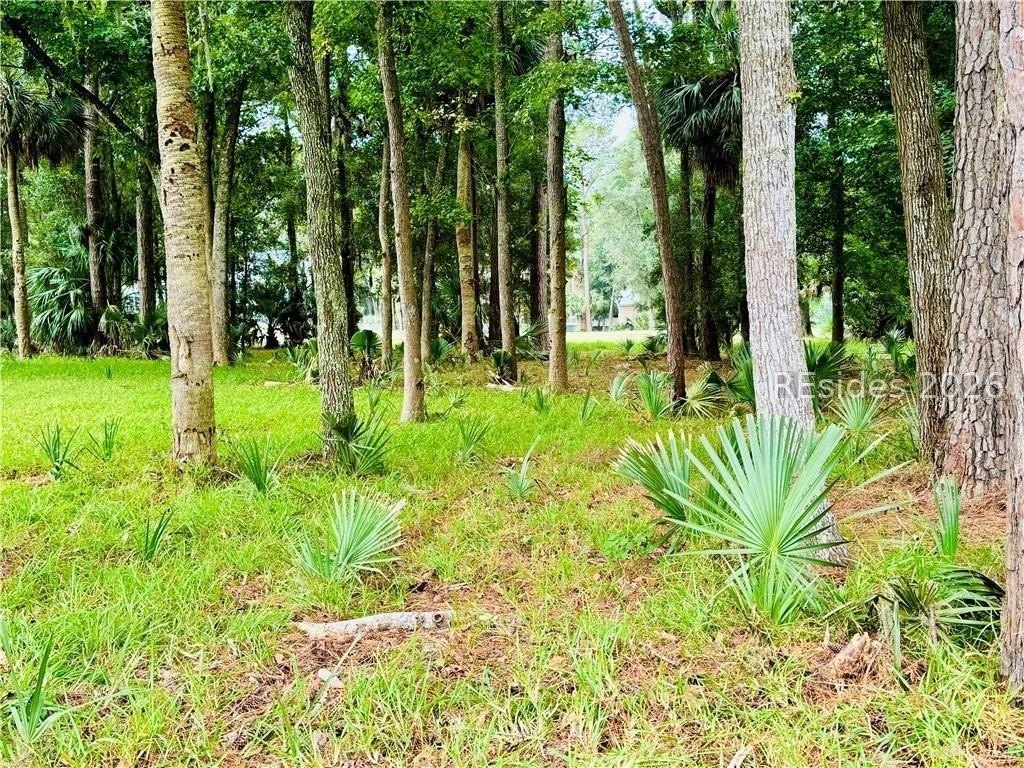 Picture 9