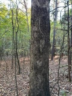 Land, OXFORD, MS