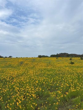 Land in Gated Community