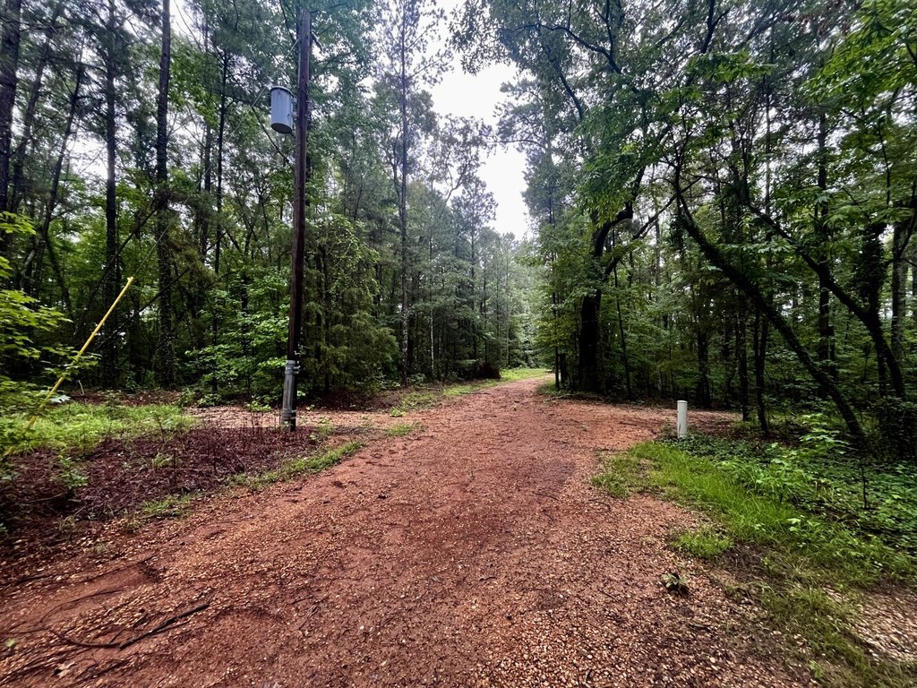 Picture 25