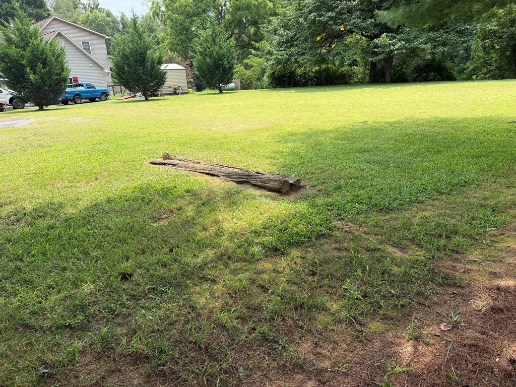 Picture 4