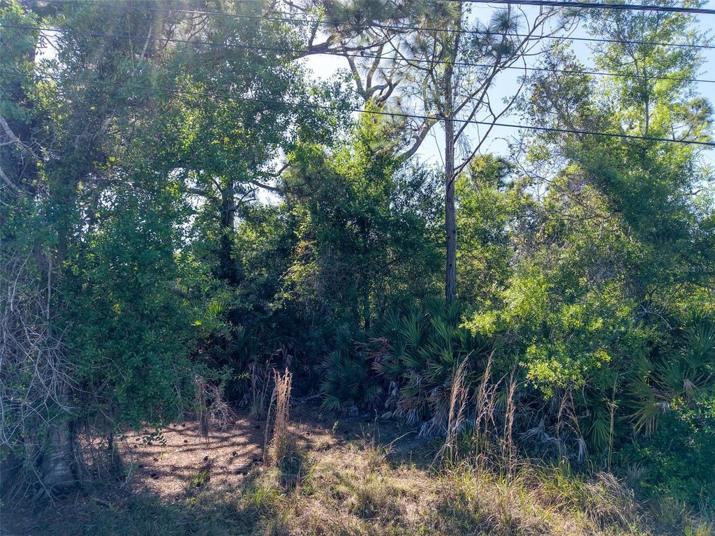 Picture 13