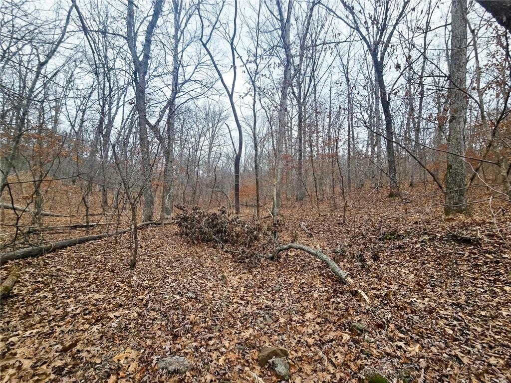 Picture 31