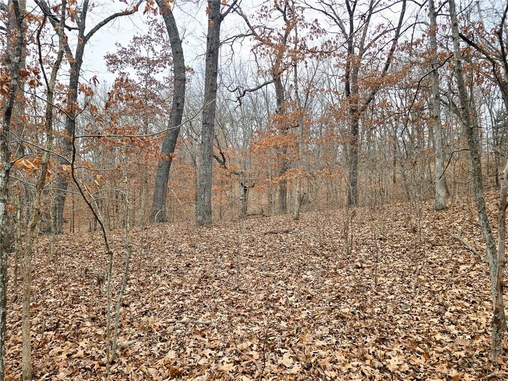 Picture 13