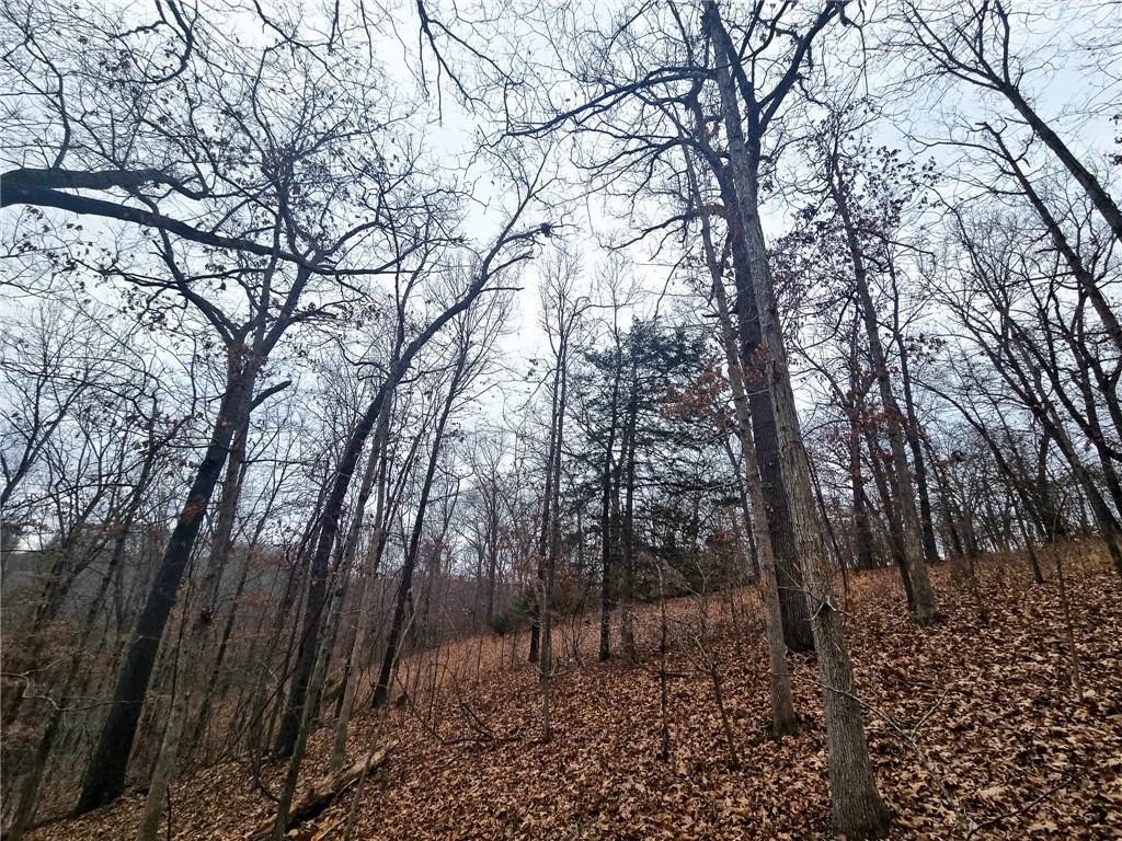 Picture 18