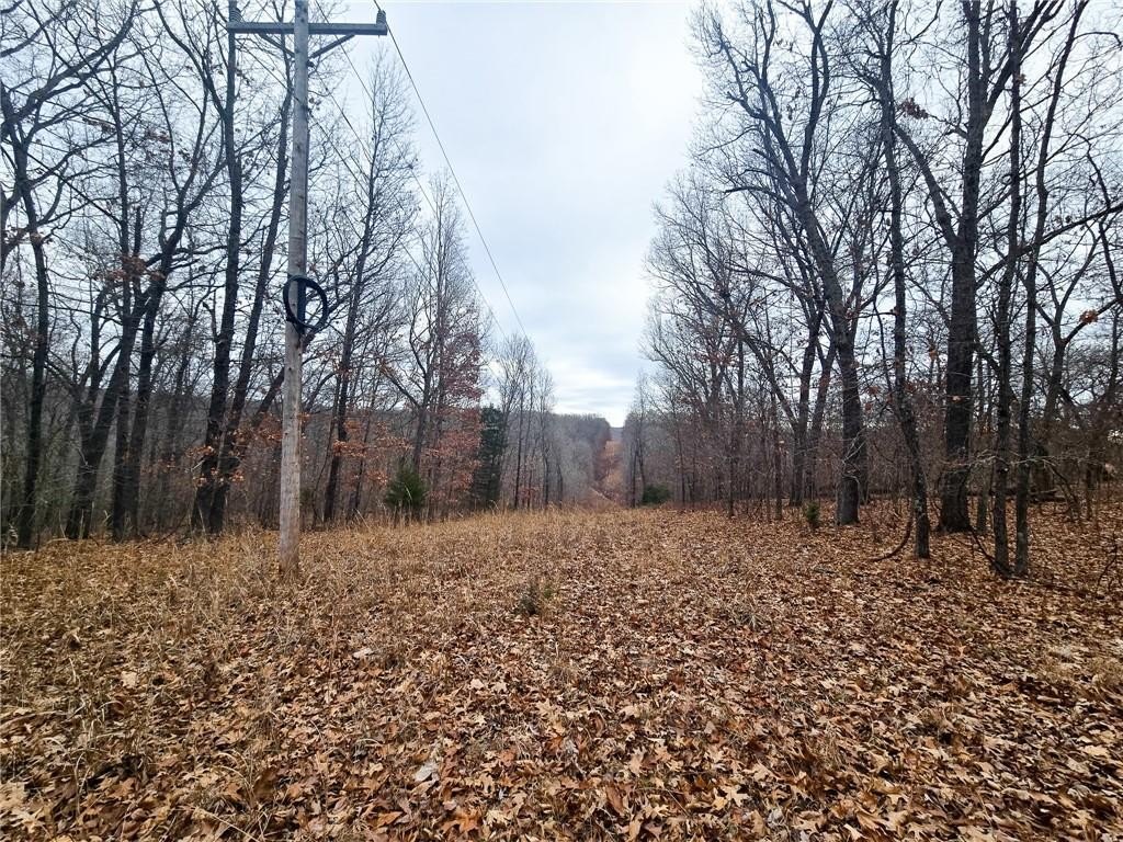 Picture 20