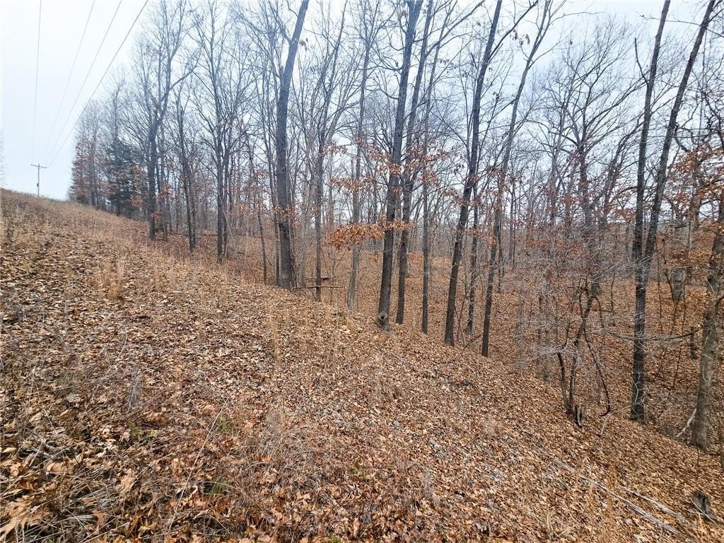 Picture 28