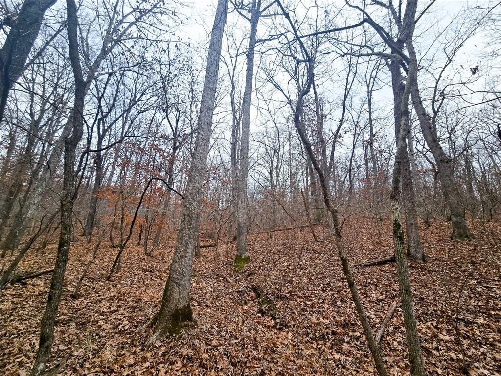 Picture 30