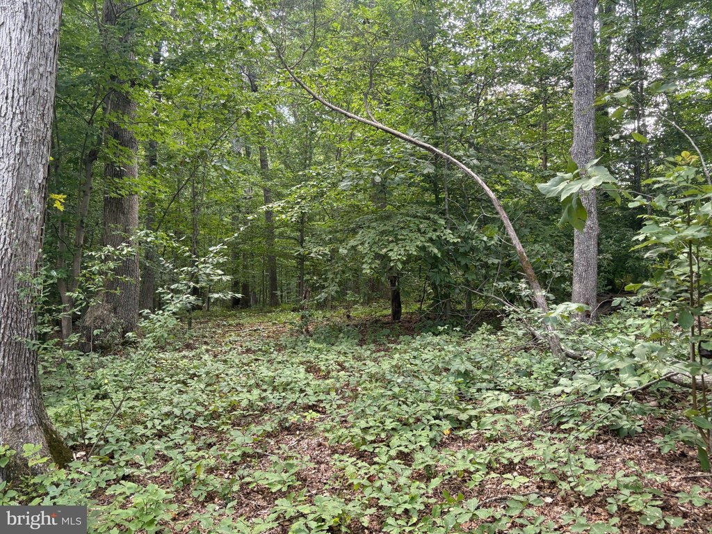 Picture 15