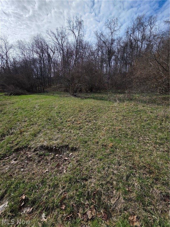 Picture 7