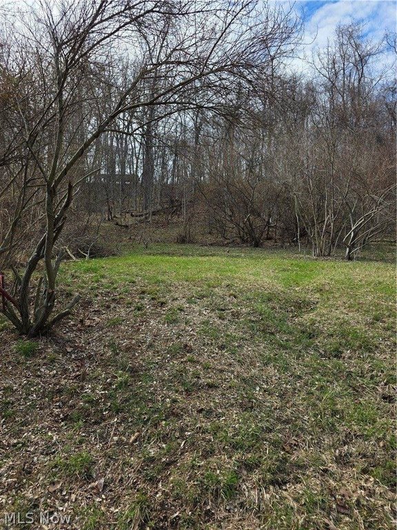 Picture 12