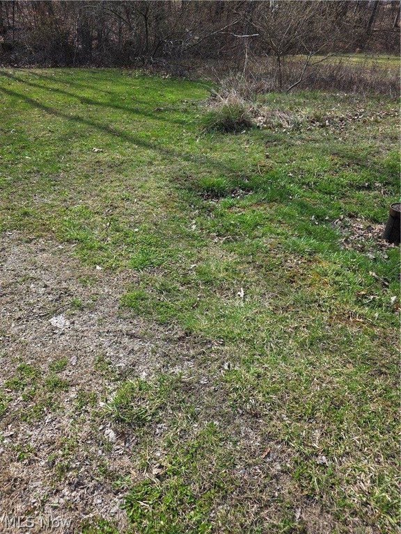 Picture 17