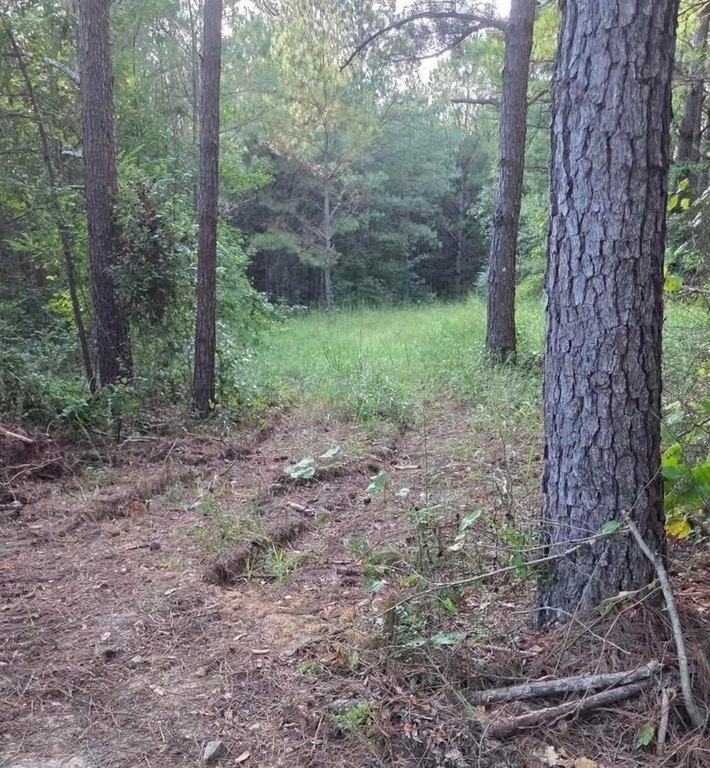 Picture 5