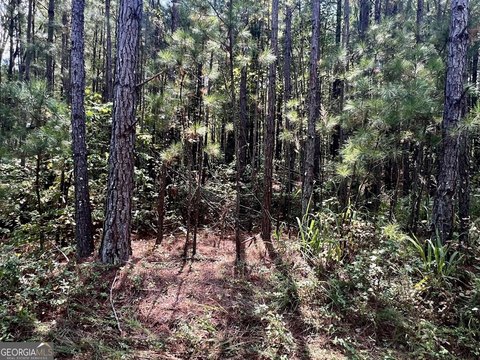 Picture of Land at Denton Rd 1150, Douglasville, GA